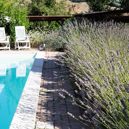 San Ginesio Country House Villa Sabrina מראה חיצוני תמונה