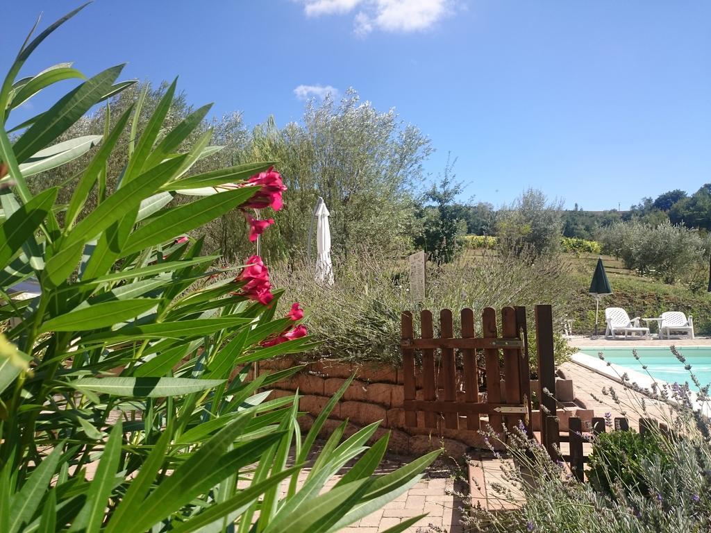 San Ginesio Country House Villa Sabrina מראה חיצוני תמונה