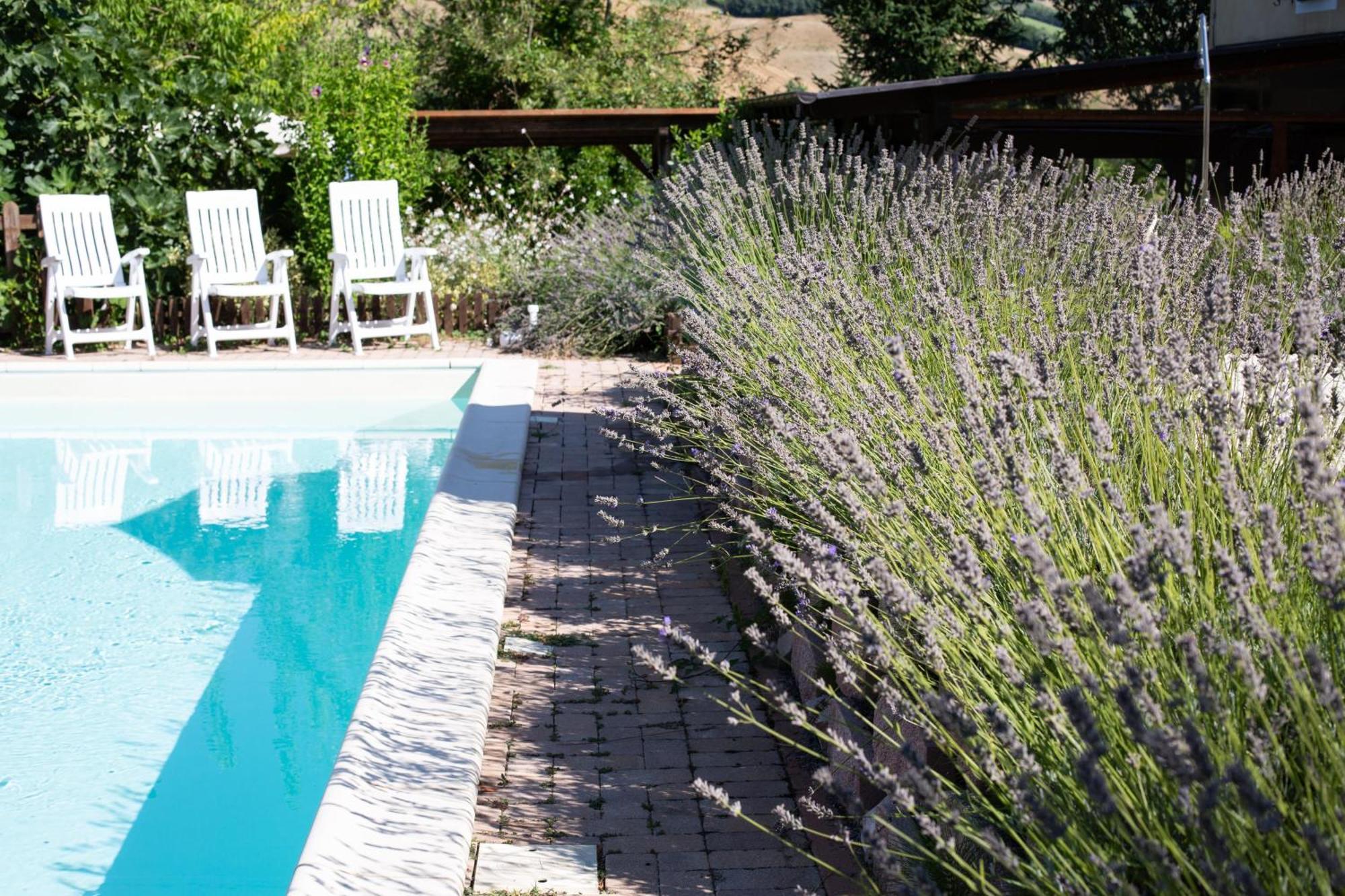 San Ginesio Country House Villa Sabrina מראה חיצוני תמונה